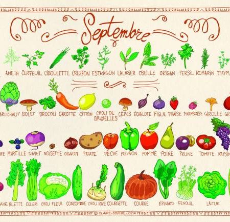 Image fruits et legumes de septembre